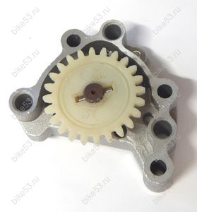 Насос масляный в сборе  ZS W190 190см3  (ML 010308)