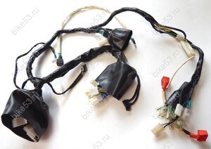 Проводка центральная FLS0108 (R0000109481)