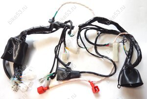 Проводка центральная RC300-GY8X (PAN4007) (R0000108138)