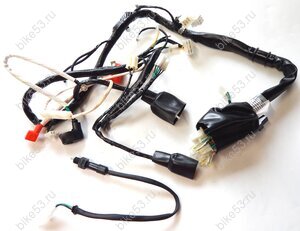 Проводка центральная Nitro RC250CK (NIT2262) (R0000089608)