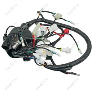 Проводка (жгут проводов) Regulmoto Allroad