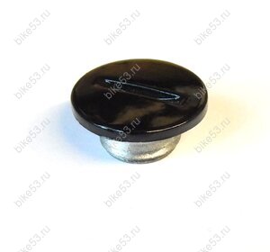 Пробка Ranger RC250-GY8A (ZS177A134) (R0000108350)