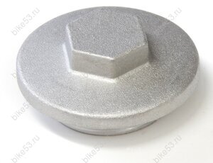 Пробка RC250GY-C2K (166FMM250CH) (R0000140524)